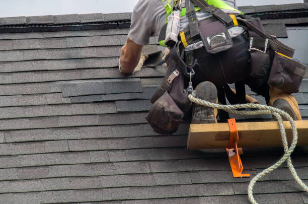 Best Slate Roofing Contractor  in Lan, MI
