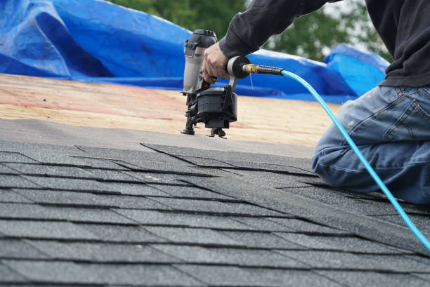 Best Residential Roofing Contractor  in Lan, MI