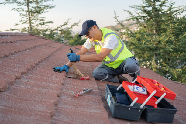 Best Roof Gutter Cleaning  in Lan, MI