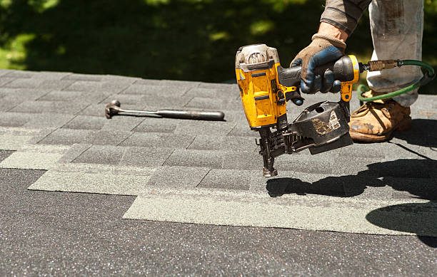 Best Roof Waterproofing Services  in Lan, MI