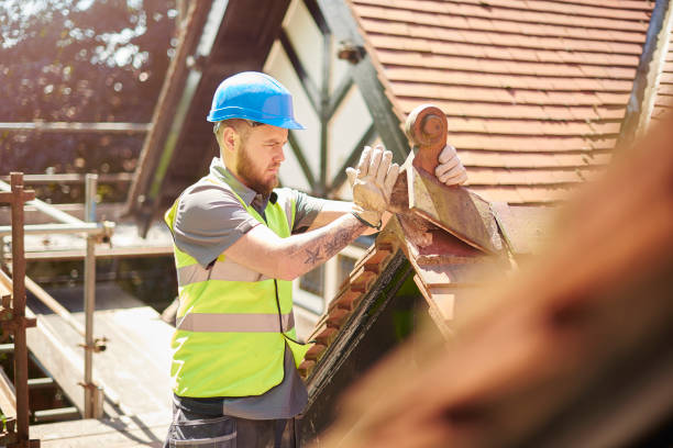 Best Commercial Roofing Services  in Lan, MI