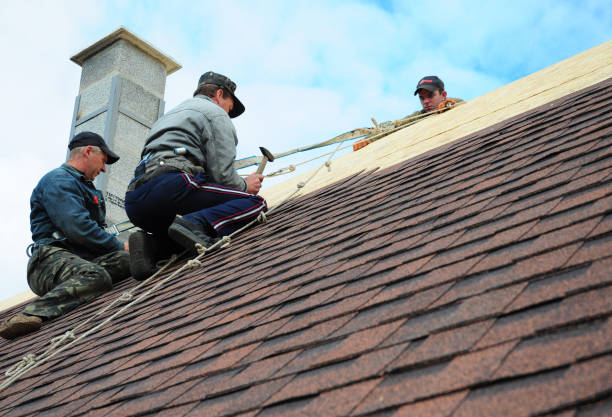 Best Affordable Roofing Company  in Lan, MI