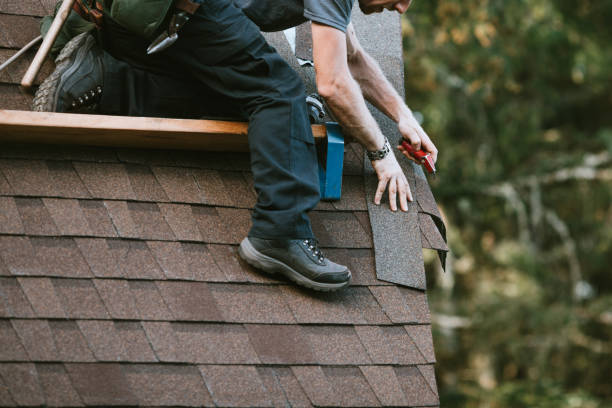 Best Metal Roofing Contractor  in Lan, MI