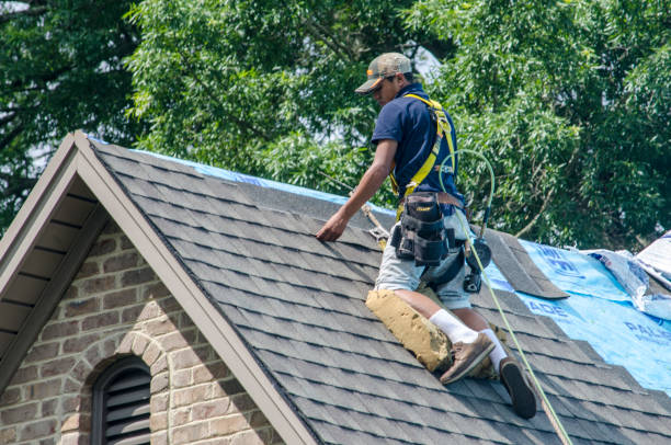 Best Commercial Roofing Services  in Lan, MI