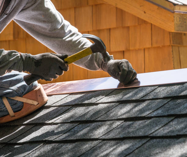 Best Emergency Roof Repair  in Lan, MI